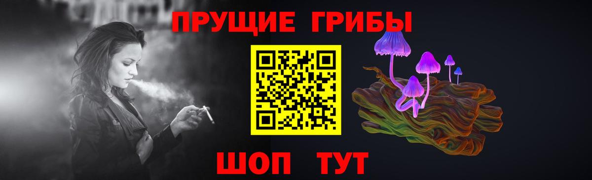 что такое   Вход с VPN  Альметьевск  Псилоцибиновые грибы мицелий 